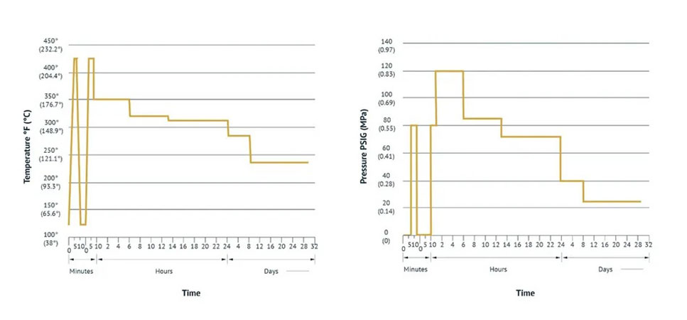 用于驗證核電站環境熱縮電纜附件的溫度和壓力曲線
